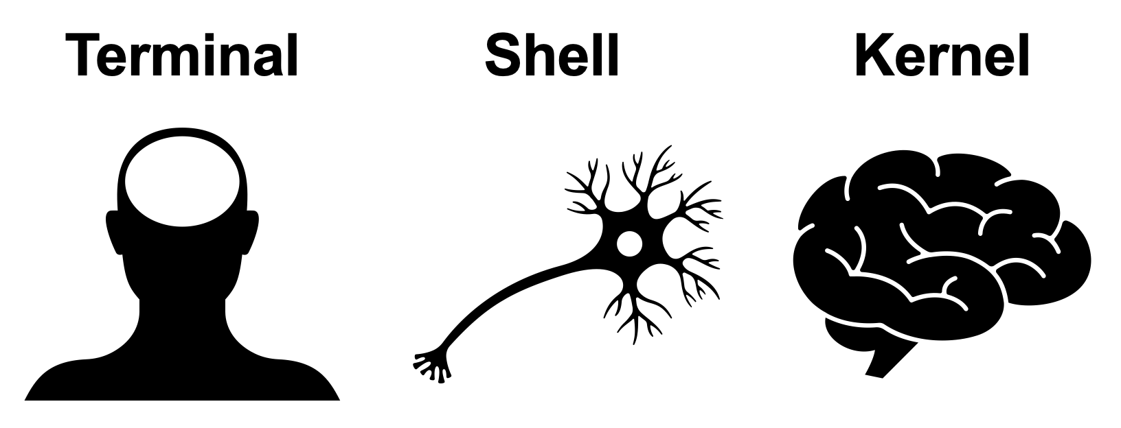 A Simple Analogy to Understand Terminal, Shell, TTY, and Console